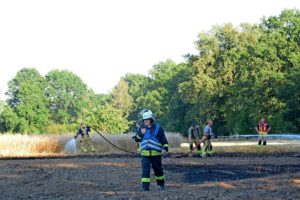Extreme Trockenheit sorgt für steigende Einsatzzahlen